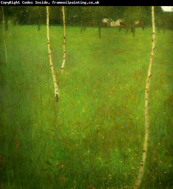 Gustav Klimt bondgard med bjorkar